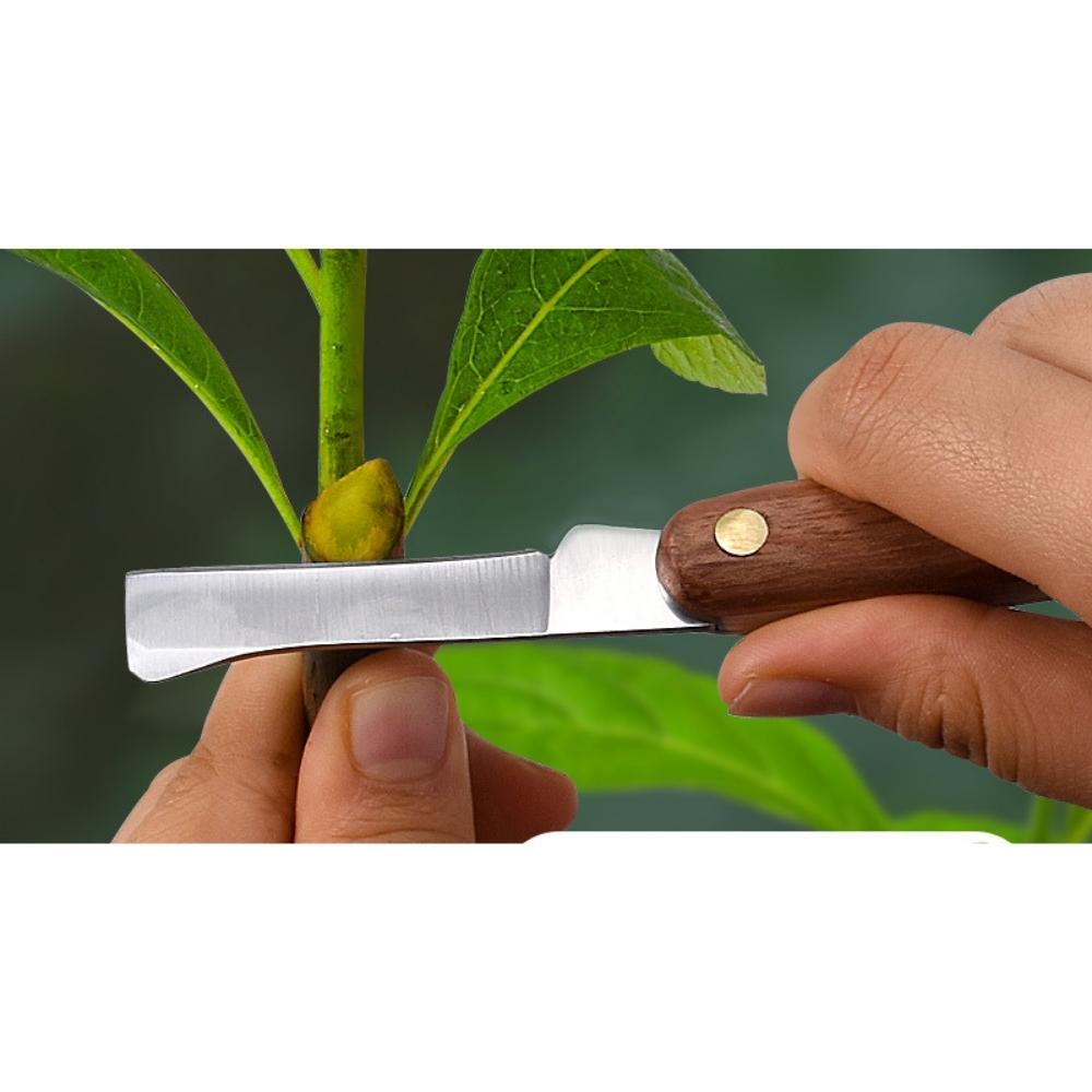 Outil de plante d'arbre d'éplucheur d'écorce pliable de grattoir d'écorce tenu dans la main (ESG20737)