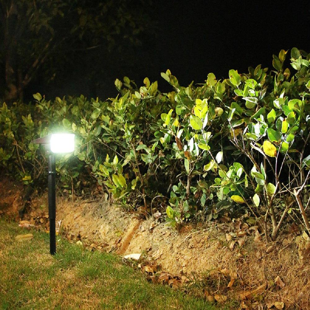 Lumière de jardin solaire LED avec pic de sol pour le chemin des chantiers de patio extérieur (ESG17316)